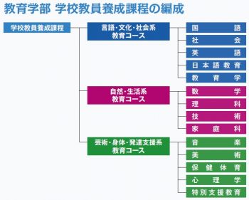 学校教員養成課程の編成